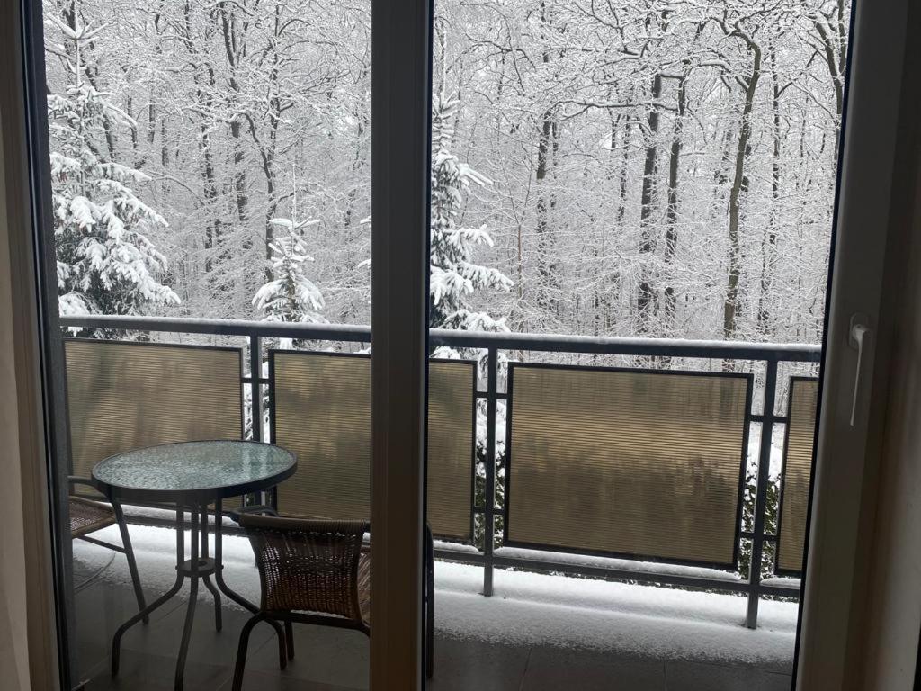 Apartament Natalia Żywiec Dış mekan fotoğraf
